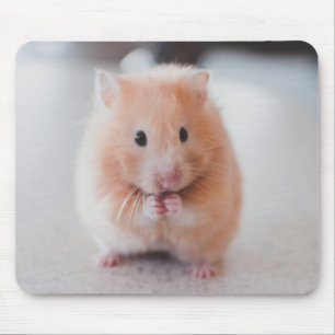 Mousepad Animais de amores de hamster