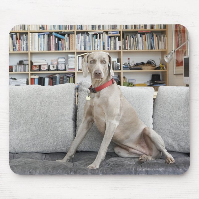 Mousepad Animais fêmeas (Frente)