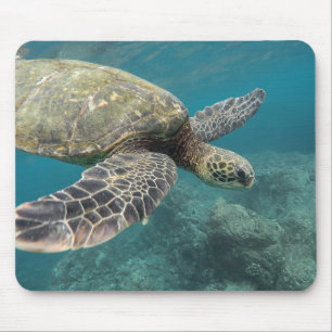 Mousepad animais, natureza, tartaruga