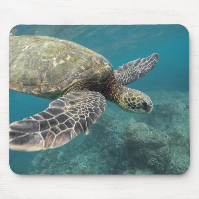 Mousepad animais, natureza, tartaruga (Frente)
