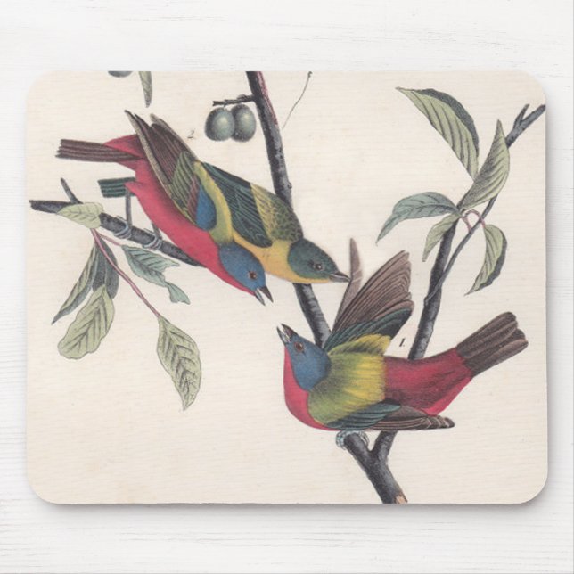 Mousepad Animais Selvagens de Aves Pintadas com Audubon (Frente)
