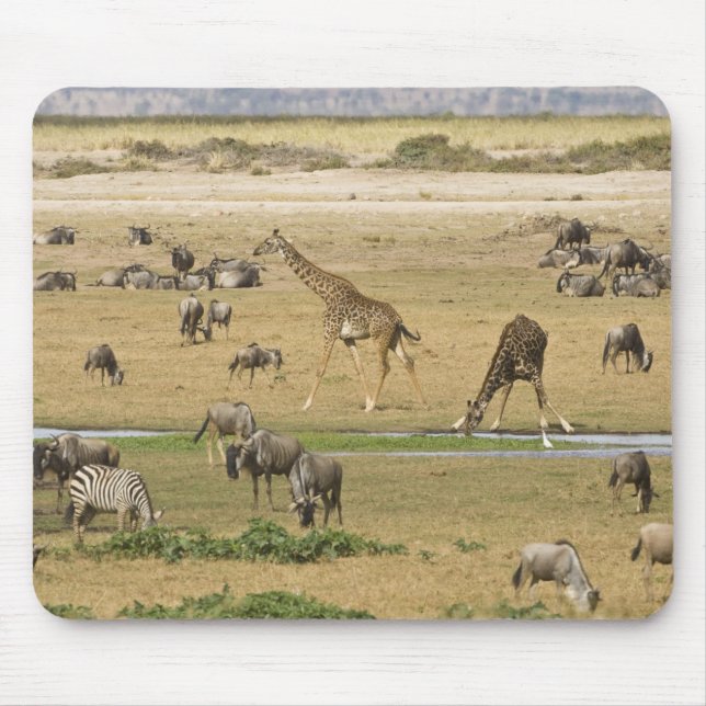 Mousepad Animais selvagens, Zebras e Girafas (Frente)