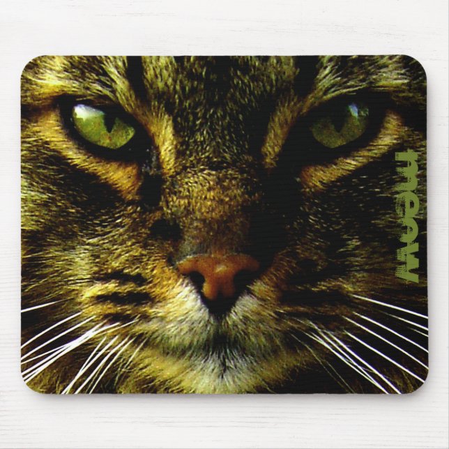 Mousepad Animal de estimação do gato que Hypnotizing o (Frente)