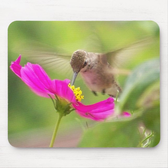 Mousepad Animal dos animais selvagens do pássaro do colibri (Frente)