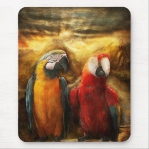 Mousepad Animal - papagaio - Papagaio-dise
