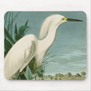 Mousepad Aniversário de Ave-de-Egrete Branca de Audubon Sno