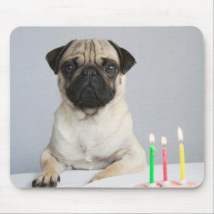 Mousepad Aniversário Pug