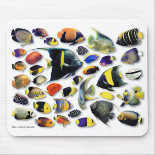 Mousepad Anjo marinho