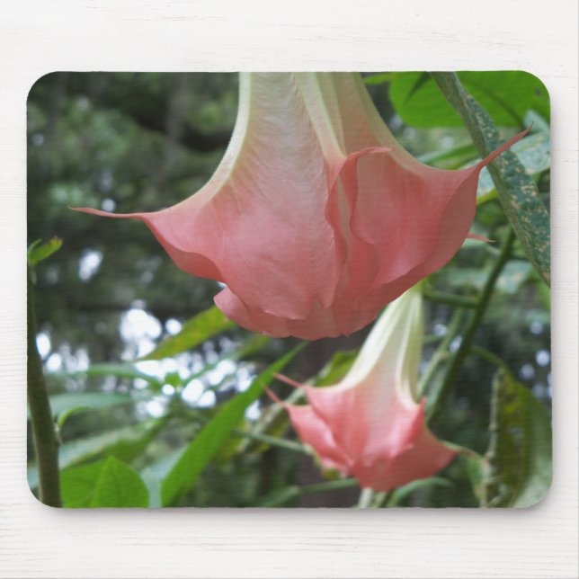 Mousepad Anjos cor-de-rosa trombetam flores (Frente)