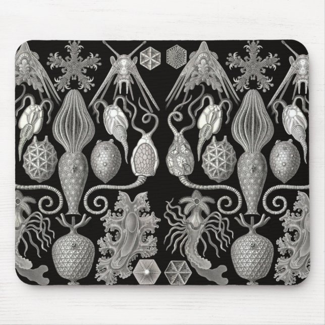 Mousepad "Anmphoridea; ou, Animais-Estrelas" (Frente)