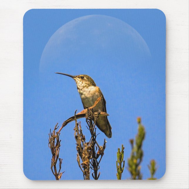 Mousepad Anna’s Hummingbird Perched Against Full Moon Photo (Frente)