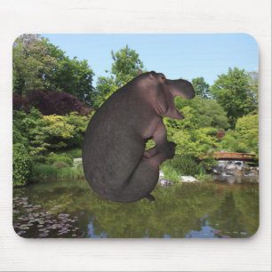Mousepad Anônbola de Hippo