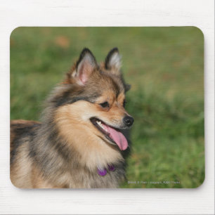Mousepad Ânsia do Headshot de Pomeranian