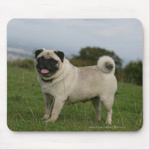 Mousepad Ânsia do Pug