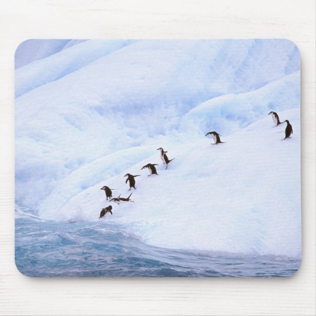 Mousepad Antártica, Península Antártica. Chinstrap (Frente)