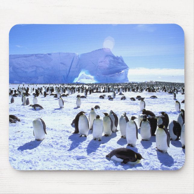 Mousepad Antártica, Península Antártica, Mar Weddell, 5 (Frente)