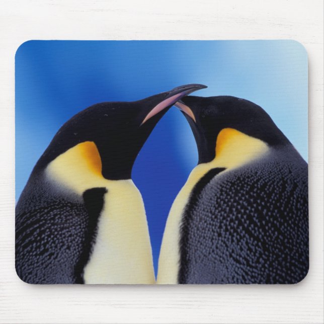 Mousepad Antártida, Pinguins-imperadores (Frente)
