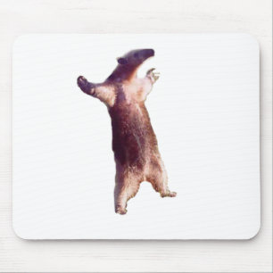 Mousepad Anteatro