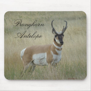 Mousepad Antílope Americano Grande Bicho