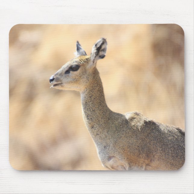 Mousepad antílope de Klipspringer (Frente)