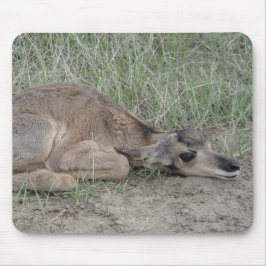 Mousepad Antílope de Pronghorn do bebê A6