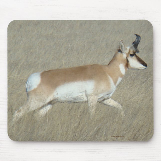 Mousepad Antílope Young Buck de A44 Pronghorn (Frente)