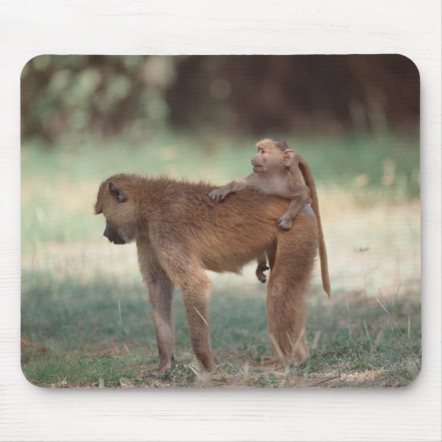 Mousepad Anubis Baboon (Frente)