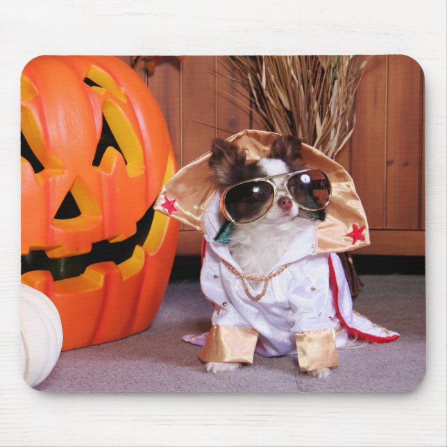 Mousepad Aparelho - chihuahua - Thomas (Frente)