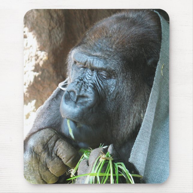 Mousepad Ape hood ~ Japonês Gorilla Eating (Frente)
