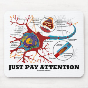 Mousepad Apenas atenção do pagamento (neurônio/sinapse)