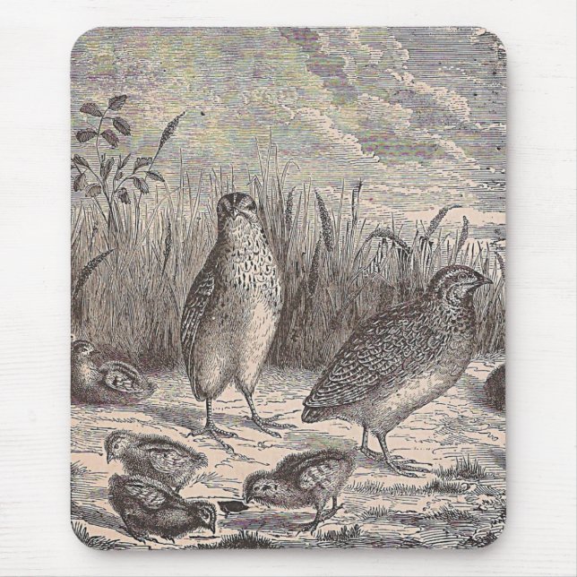 Mousepad Apenas Quail (Frente)