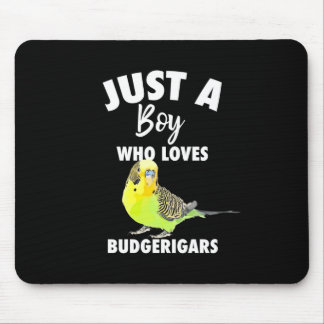 Mousepad Apenas Um Menino Que Ama O Papagaio De Bugerigres