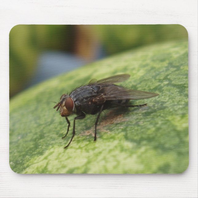 Mousepad Apenas uma imagem louca (Frente)