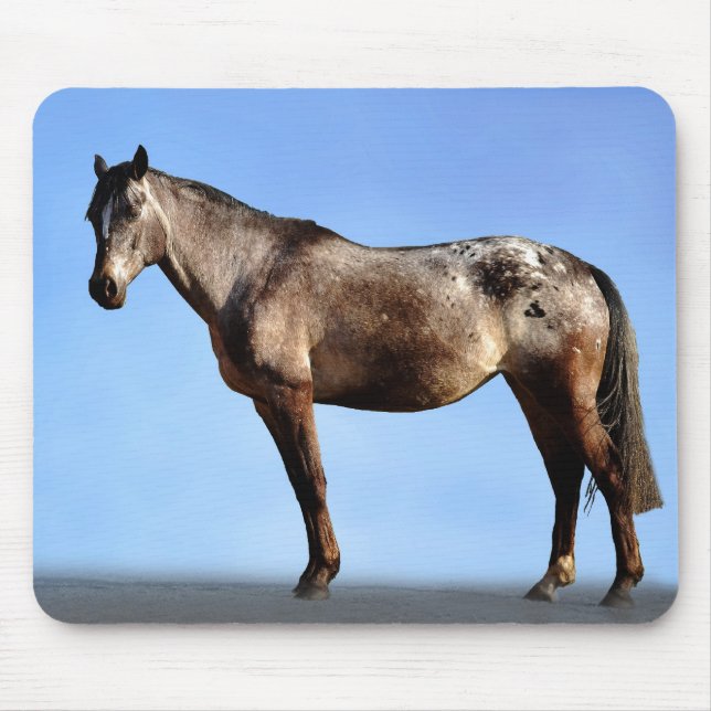 Mousepad Appaloosa (Frente)