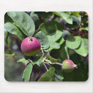 Mousepad Apple em