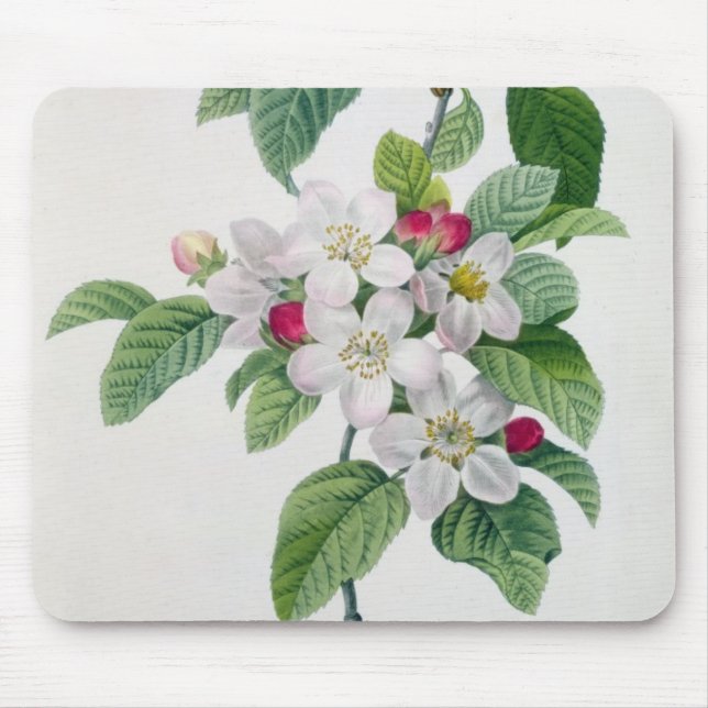 Mousepad Apple floresce, 'do DES de Les Choix mais Belles (Frente)