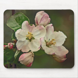 Mousepad Apple floresce tempo