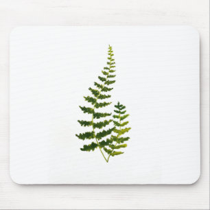 Mousepad Aquarela Fern Botânica Greenery Rustic Elegante