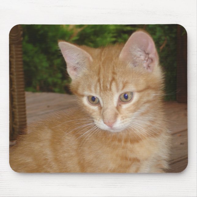 Mousepad Aqui, Mousey, Mousey! (Frente)