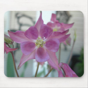 Mousepad aquilégia da flor