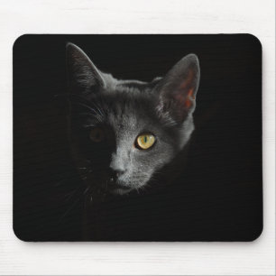 Mousepad Ar Curto Europeu Gato Preto Retrato de gato