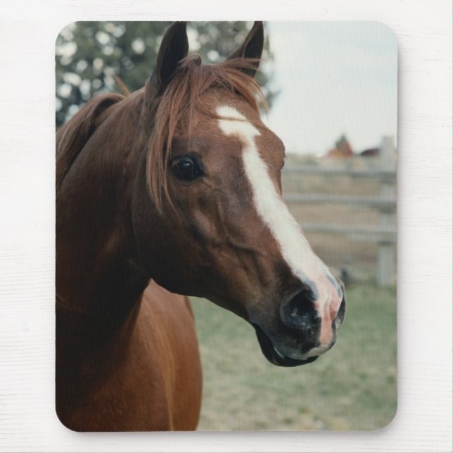 Mousepad Árabe em Pasture (Frente)