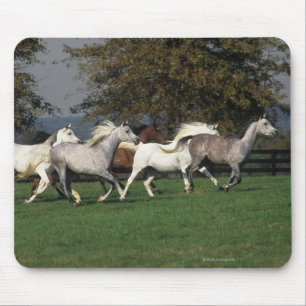 Mousepad Árabes que funcionam no campo