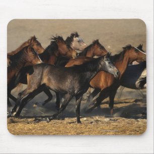 Mousepad Árabes que funcionam no deserto
