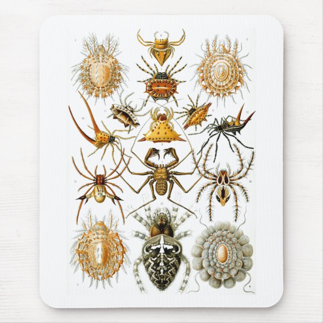 Mousepad Arachnida (Aranhas), Ernst Haeckel Belas Artes (Frente)