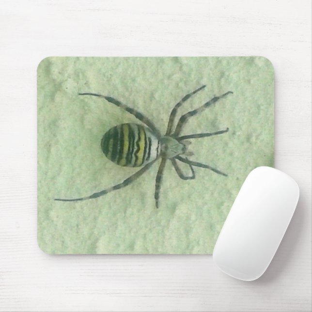 Mousepad Araignee (Com mouse)