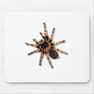 Mousepad Aranha