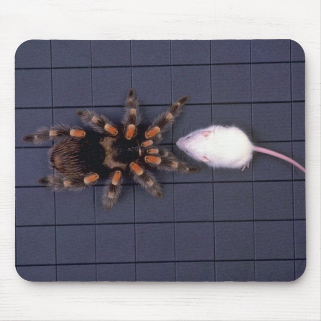 Mousepad Aranha assustador do Tarantula e rato branco (Frente)