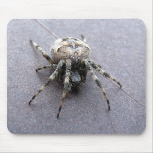 Mousepad aranha cinzenta grande