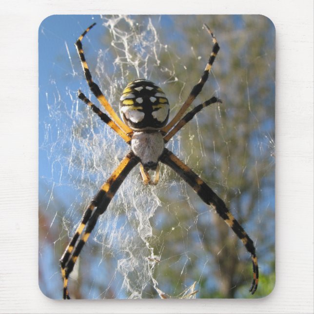 Mousepad Aranha do Argiope (Frente)